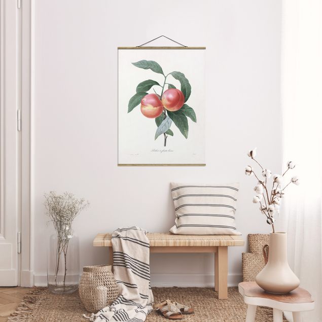 Wandbilder Früchte Botanik Vintage Illustration Pfirsich