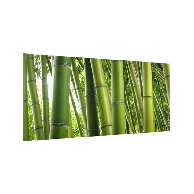 Spritzschutz Küche Glas Bamboo Trees