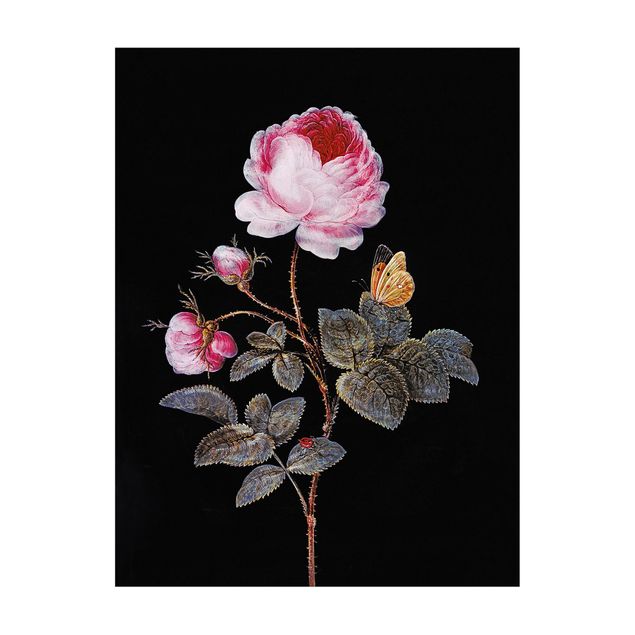 Teppich modern Barbara Regina Dietzsch - Die hundertblättrige Rose