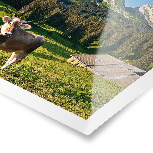 Wandbilder Landschaften Schweizer Almwiese mit Kuh