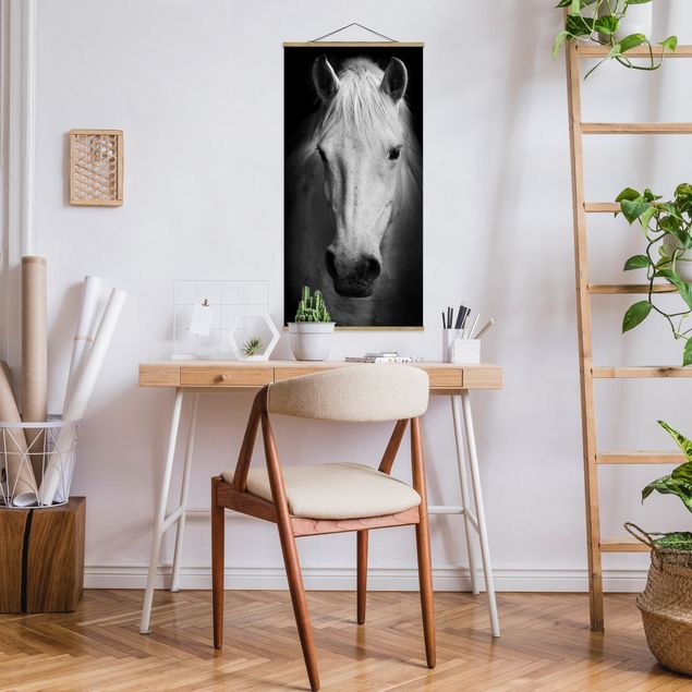 Wandbilder Modern Dream of a Horse