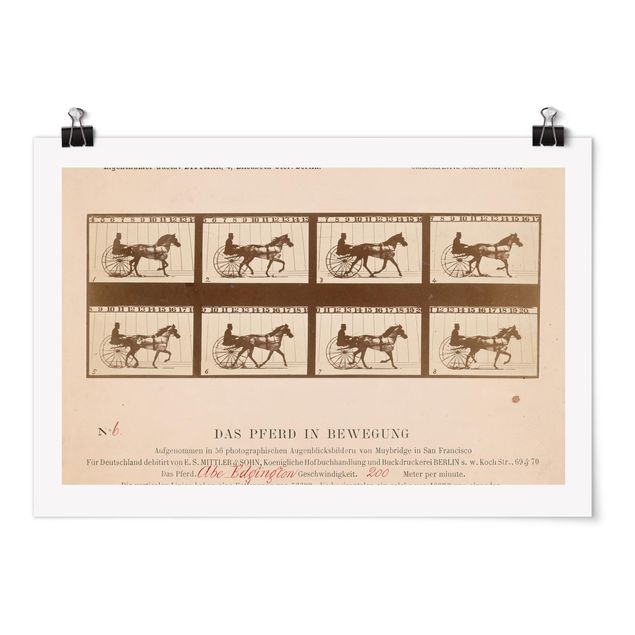 Kunstdrucke Poster Eadweard Muybridge - Das Pferd in Bewegung