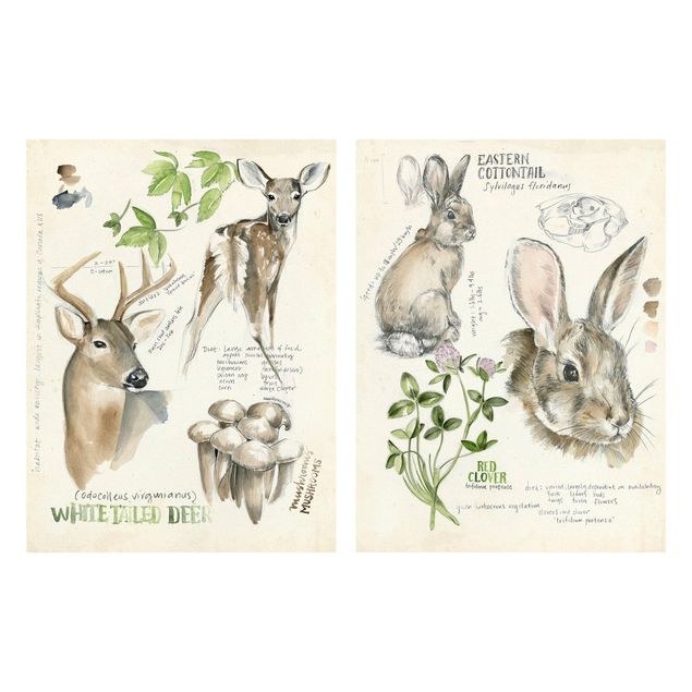 Wandbilder Blumen Wildnis Journal - Hirsch und Kaninchen Set II