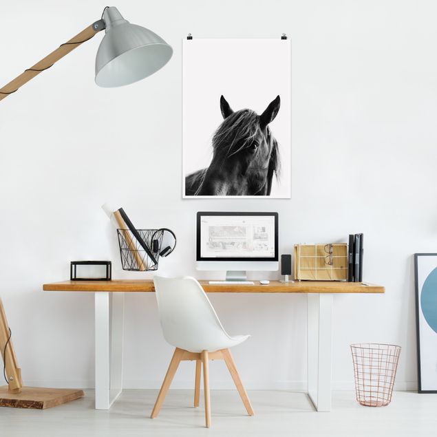 Poster schwarz-weiß Fotografie Neugieriges Pferd