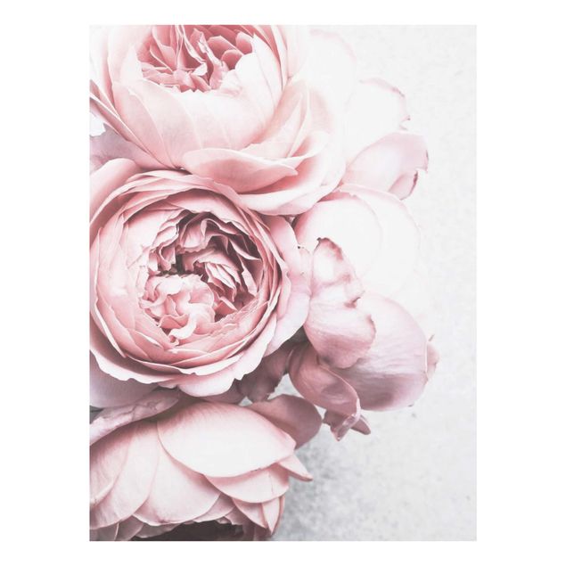 Wandbilder Rosa Rosa Pfingstrosenblüten Shabby Pastell