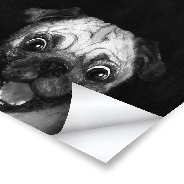 Wandbilder Schwarz-Weiß Illustration Hund Mops Malerei auf Schwarz Weiß