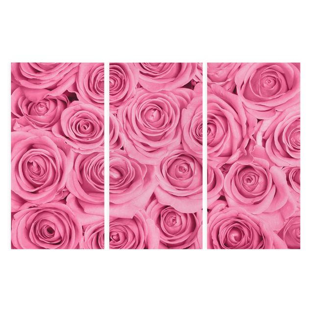 Wandbilder Blumen Rosa Rosen
