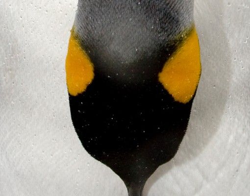 Waschbeckenunterschrank - Pinguin - Badschrank Weiß Grau