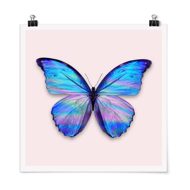Wandbilder Schmetterlinge Holografischer Schmetterling