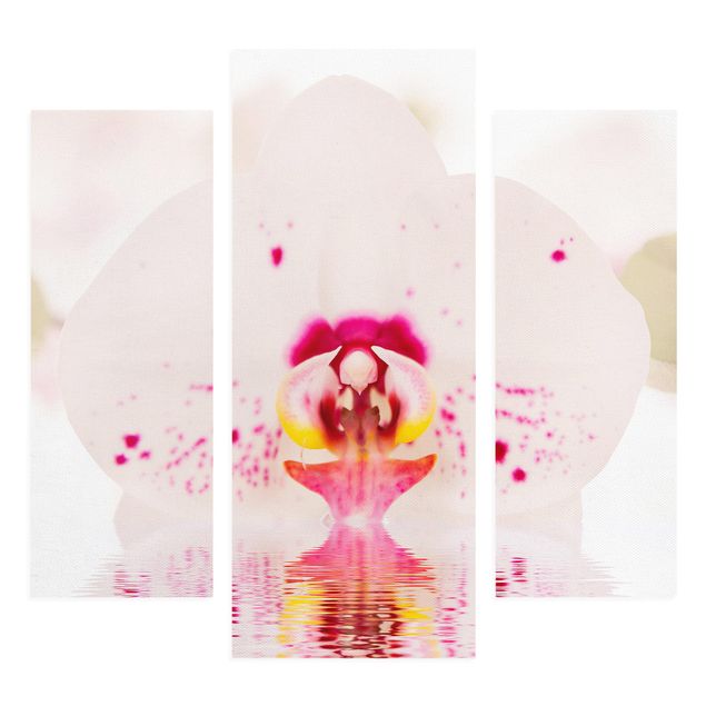 Wandbilder Floral Gepunktete Orchidee auf Wasser