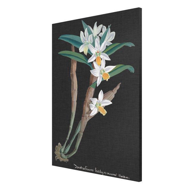 Magnettafeln Blumen Weiße Orchidee auf Leinen I