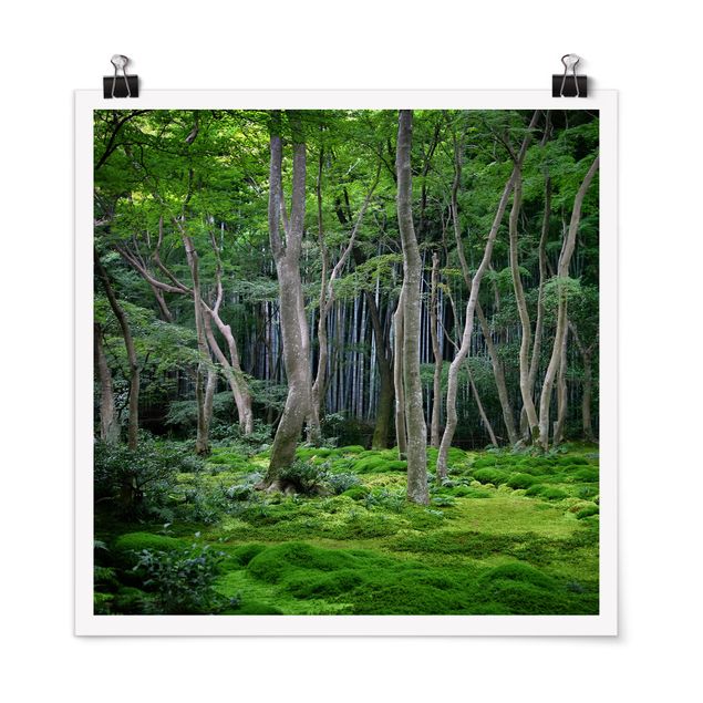 Wandbilder Landschaften Japanischer Wald