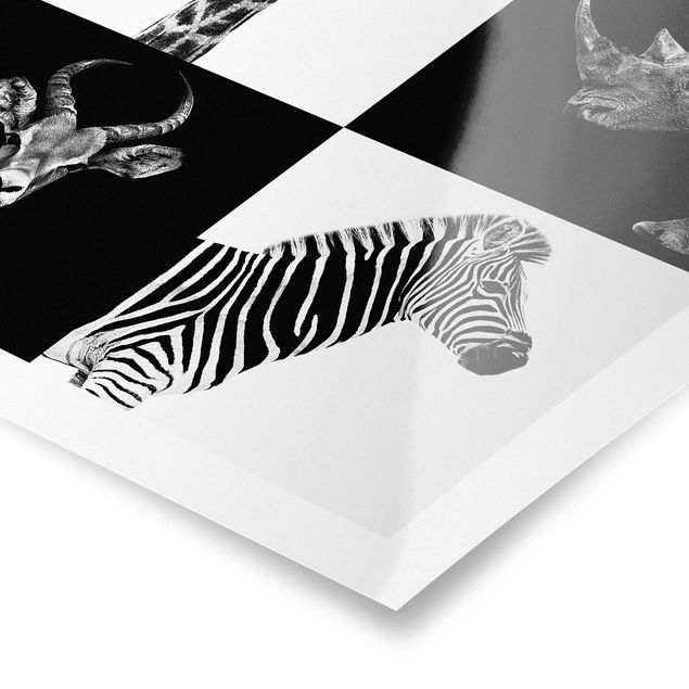 Poster Tiere Safari Quartett