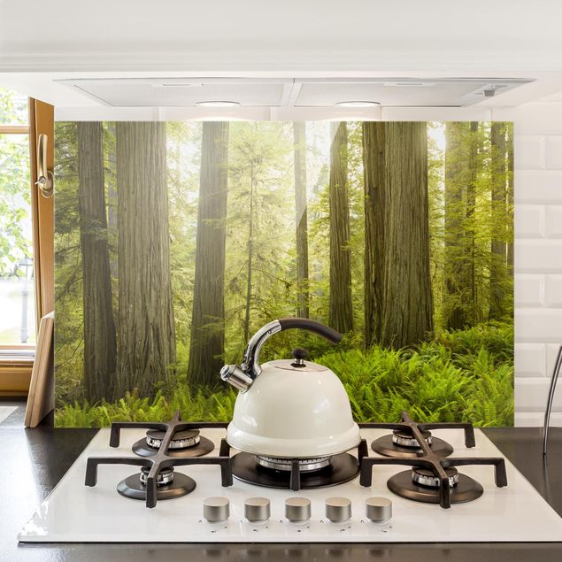 Küche Dekoration Redwood State Park Waldblick