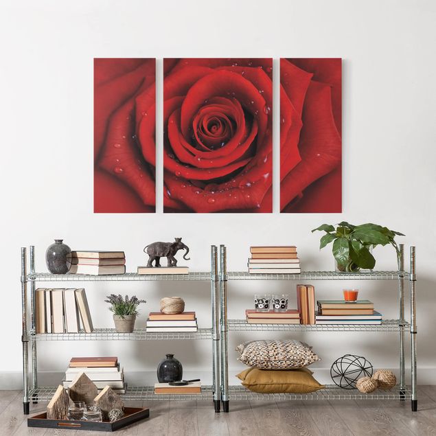 Blumenbilder auf Leinwand Rote Rose mit Wassertropfen