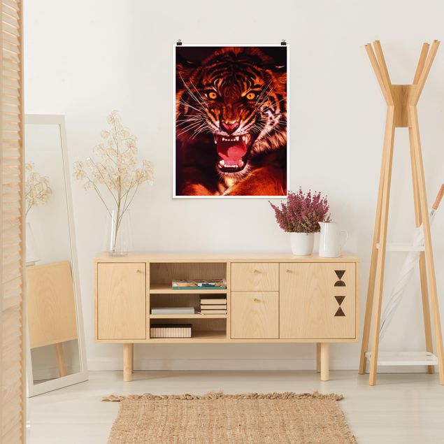 Wandbilder Tiger Wilder Tiger