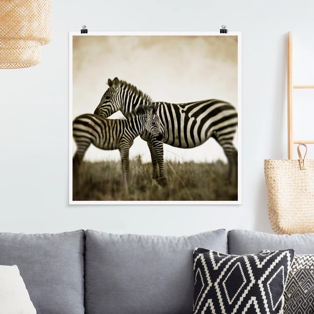 Wandbilder Zebras Zebrapaar