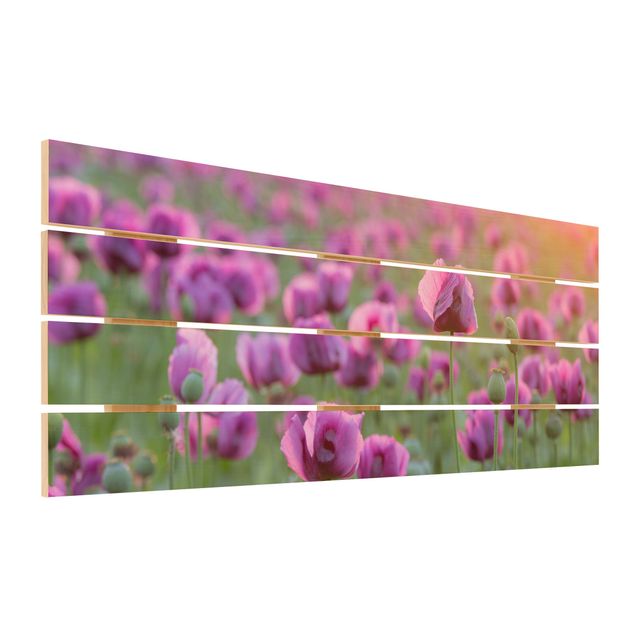 Holzbilder Violette Schlafmohn Blumenwiese im Frühling