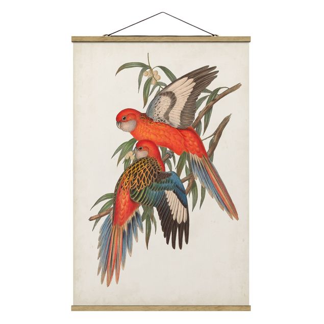 Wandbilder Retro Tropische Papageien I