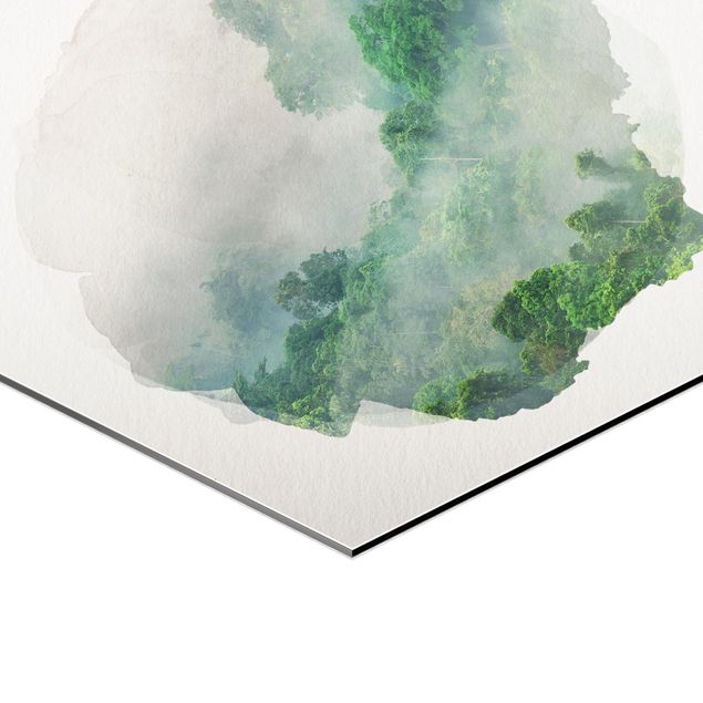 Wandbilder Natur Wasserfarben - Dschungel im Nebel
