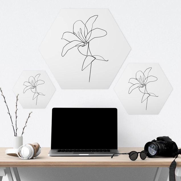 Hexagon Bilder Line Art Blüte Schwarz Weiß