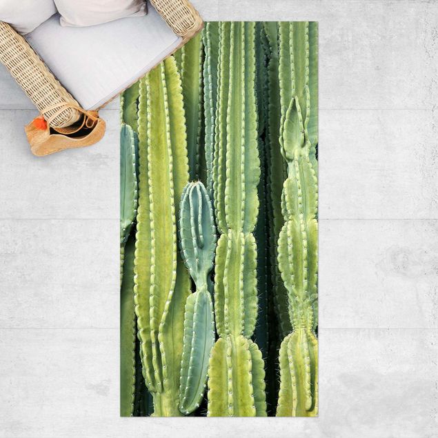 outdoor-teppich wetterfest Kaktus Wand