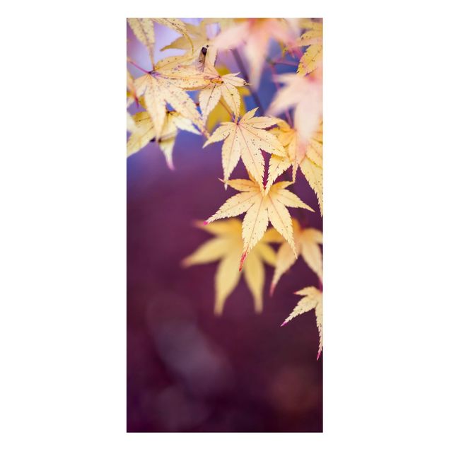 Magnettafeln Blumen Herbstlicher Ahorn