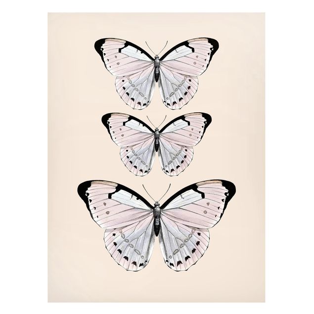 Wandbilder Schmetterlinge Schmetterling auf Beige