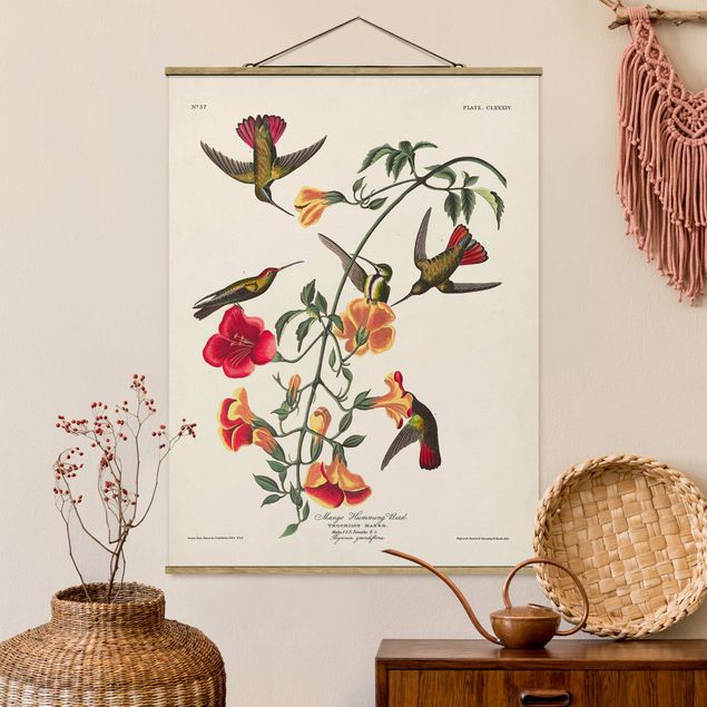 Wanddeko Küche Vintage Lehrtafel Mango Kolibris