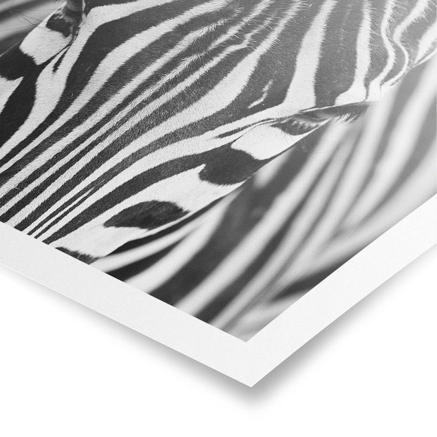 Wandbilder Muster Zebra Look