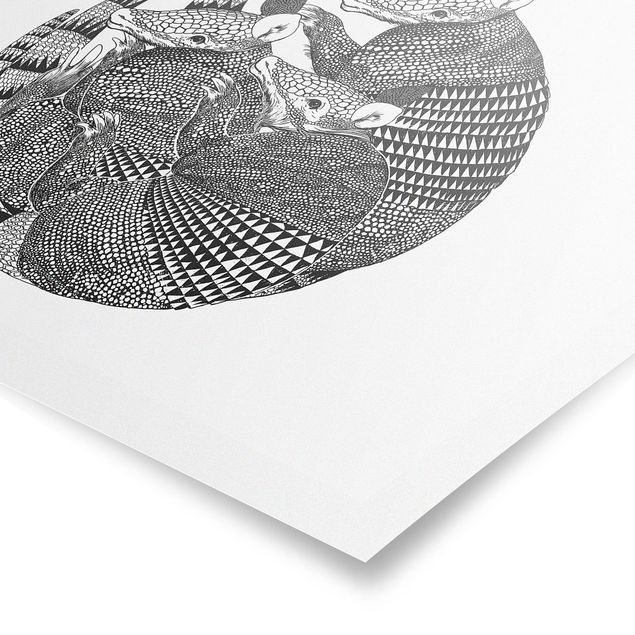Wandbilder Schwarz-Weiß Illustration Gürteltiere Schwarz Weiß Muster