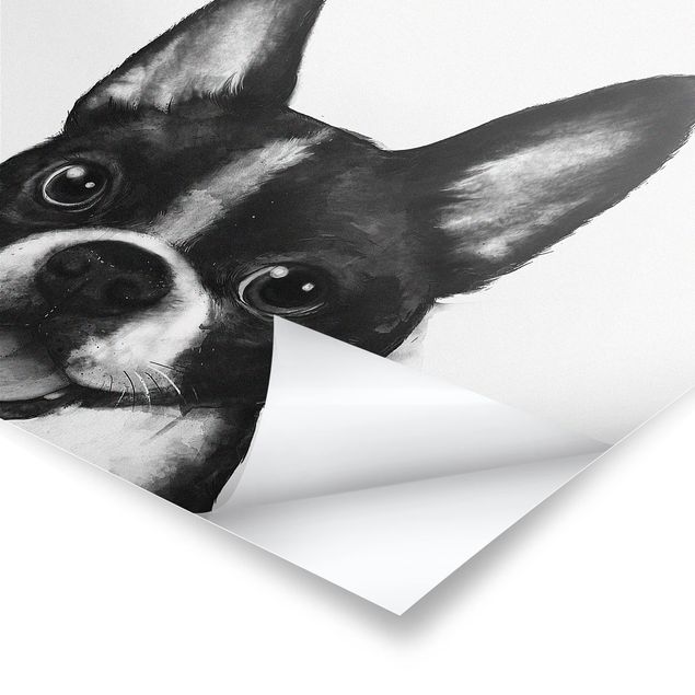 Laura Graves Art Bilder Illustration Hund Boston Schwarz Weiß Malerei
