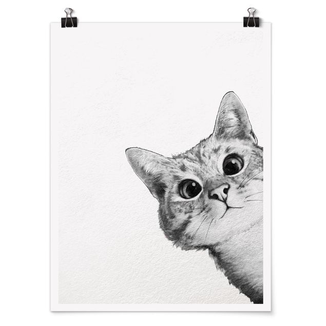 schwarz-weiß Poster Illustration Katze Zeichnung Schwarz Weiß
