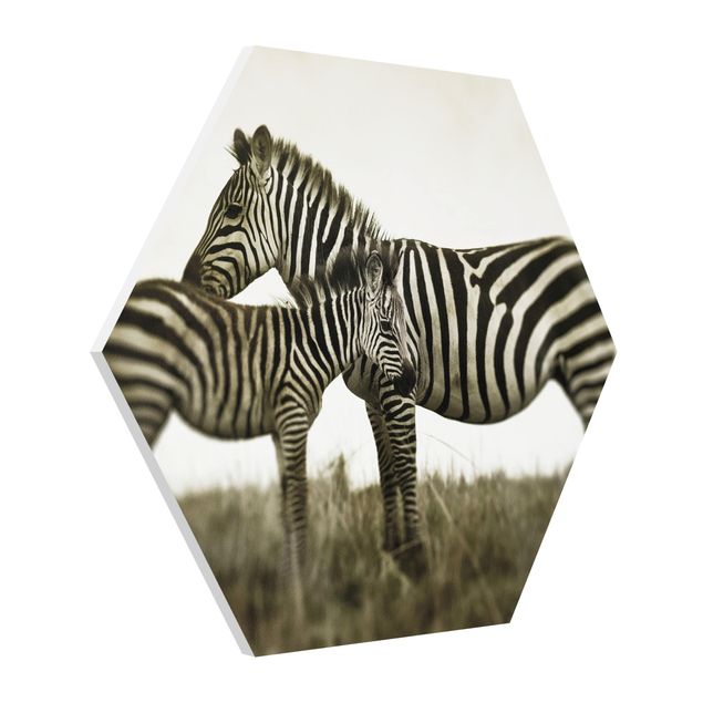 Wandbilder Modern Zebrapaar