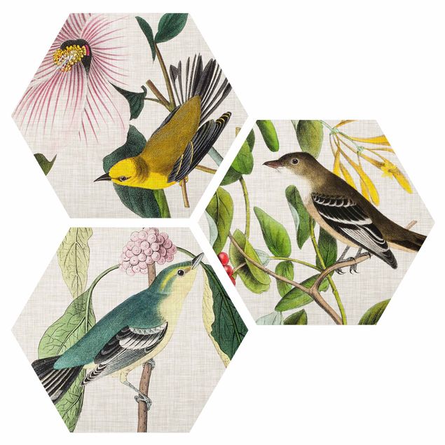 Wandbilder Retro Vögel auf Leinen Set I