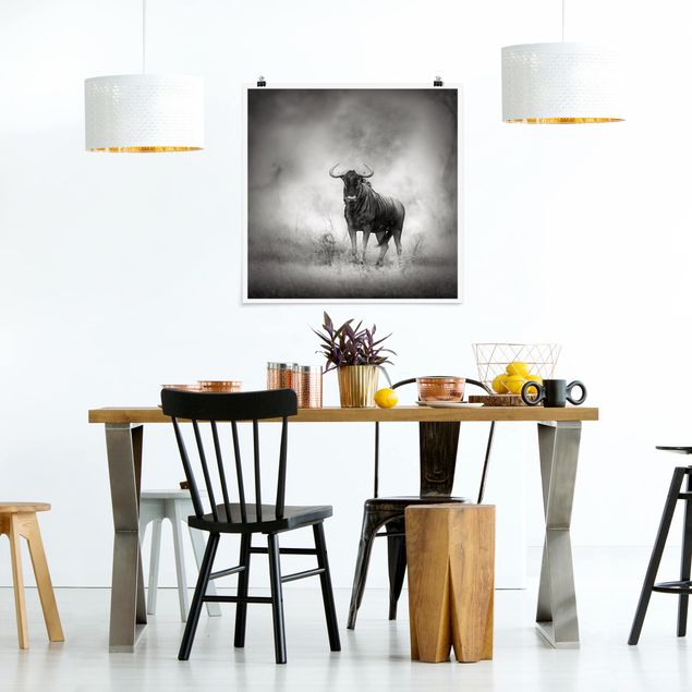 Küche Dekoration Staring Wildebeest
