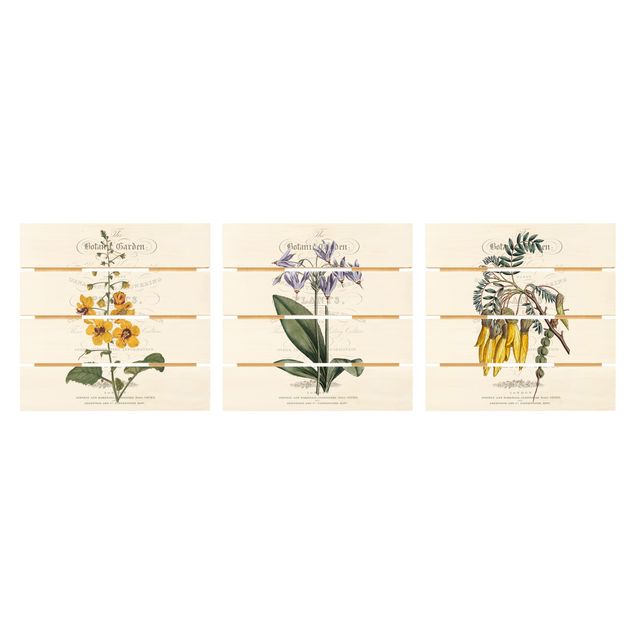Wandbilder Botanisches Tableau Set I