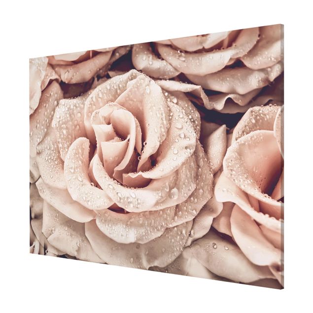 Wandbilder Floral Rosen Sepia mit Wassertropfen