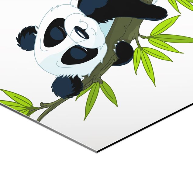 schöne Bilder Pandabären Set
