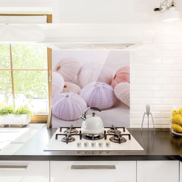 Glasrückwand Küche Seeigel in Pastell