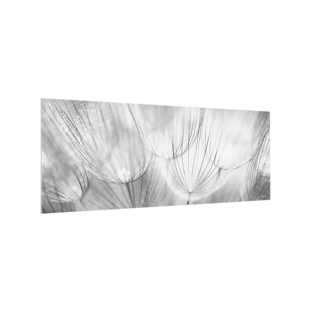 Küchenspiegel Glas Pusteblumen Makroaufnahme in schwarz weiß
