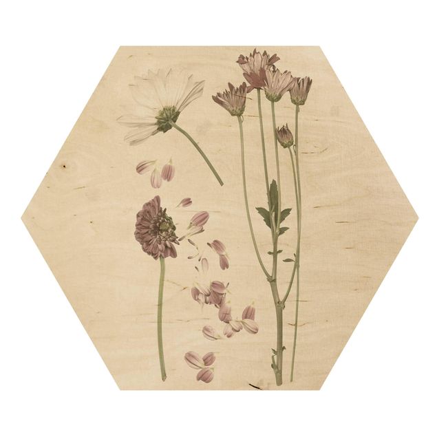 Holzbilder Herbarium in rosa II