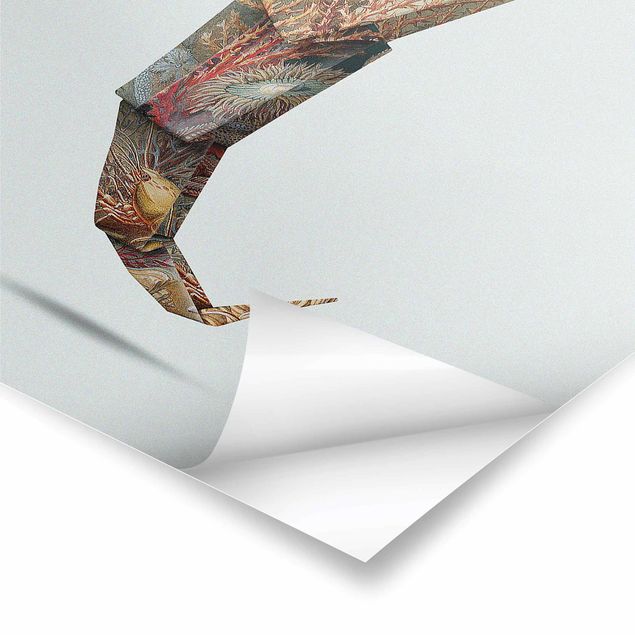 Jonas Loose Kunstdrucke Origami Seepferdchen