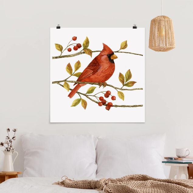 Poster Vintage Vögel und Beeren - Rotkardinal