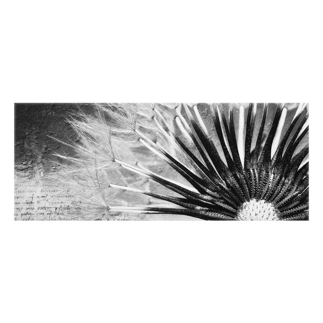Spritzschutz Glas - Pusteblume Schwarz & Weiß - Panorama - 5:2