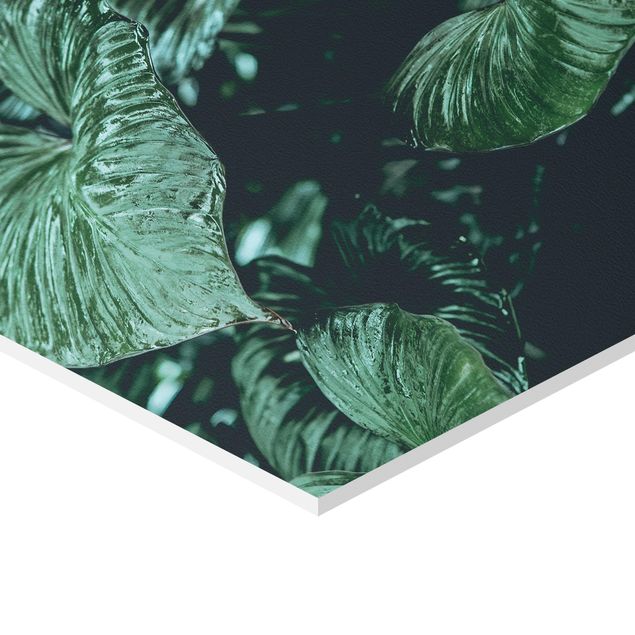 Wandbilder Grün Tropische Pflanzen