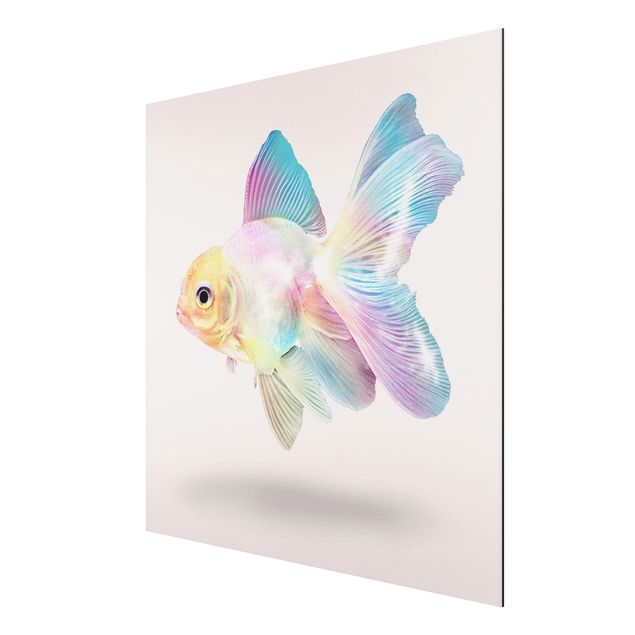 Wandbilder Kunstdrucke Fisch in Pastell