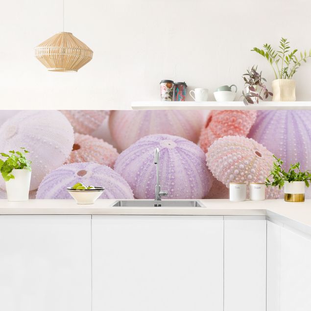 Glasrückwand Küche Seeigel in Pastell