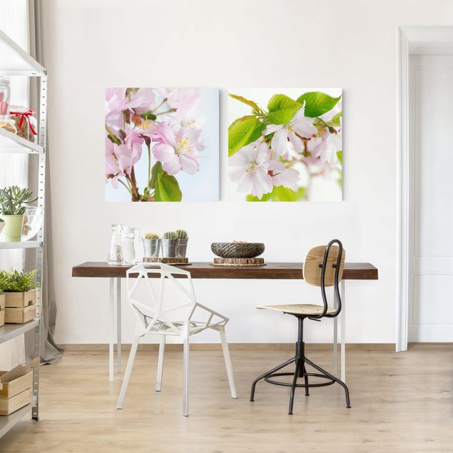 Wandbilder Floral Zierkirsche mit Blüten