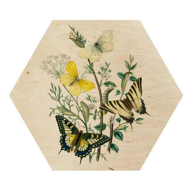 Holzbilder Britische Schmetterlinge III